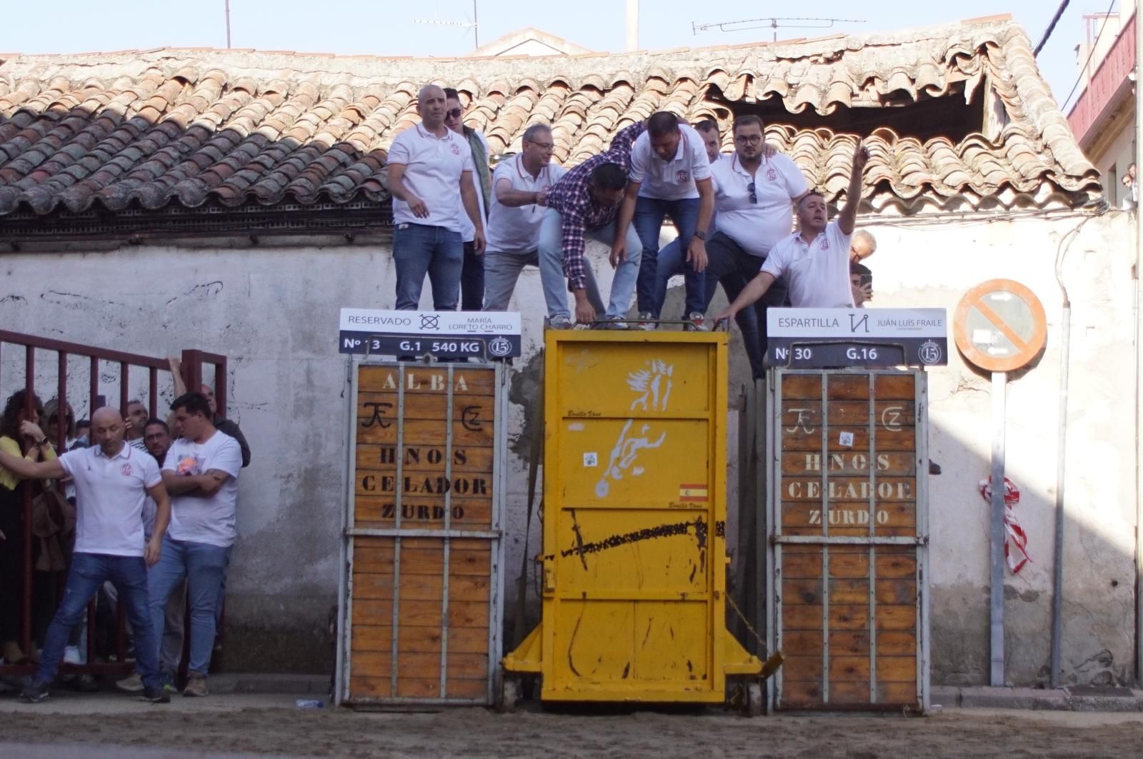 Toro del cajón y capea en Alba de Tormes