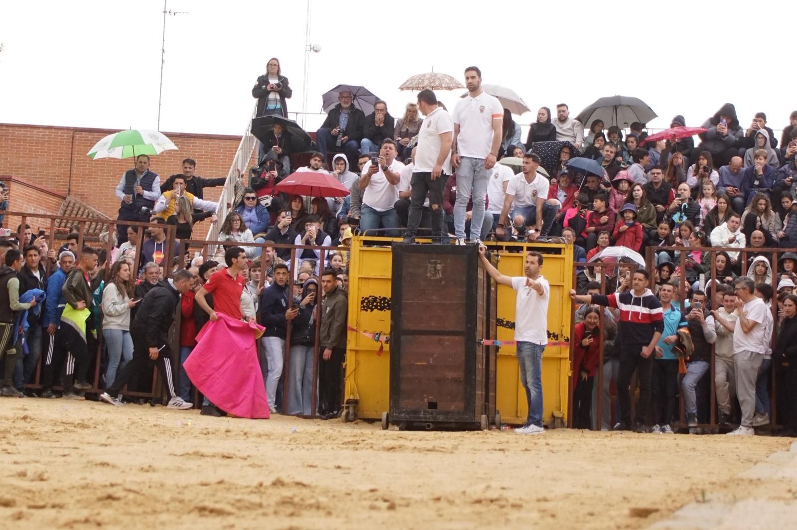 Villoria, toro del Voto