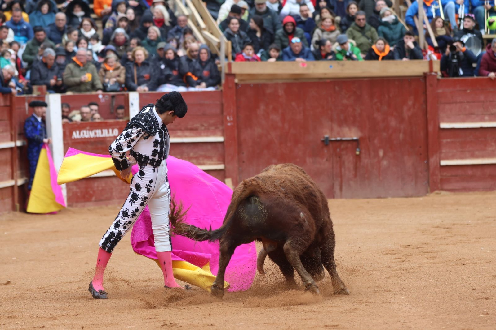 Novillada con picadores de lunes en el Carnaval del Toro de Ciudad Rodrigo 2026