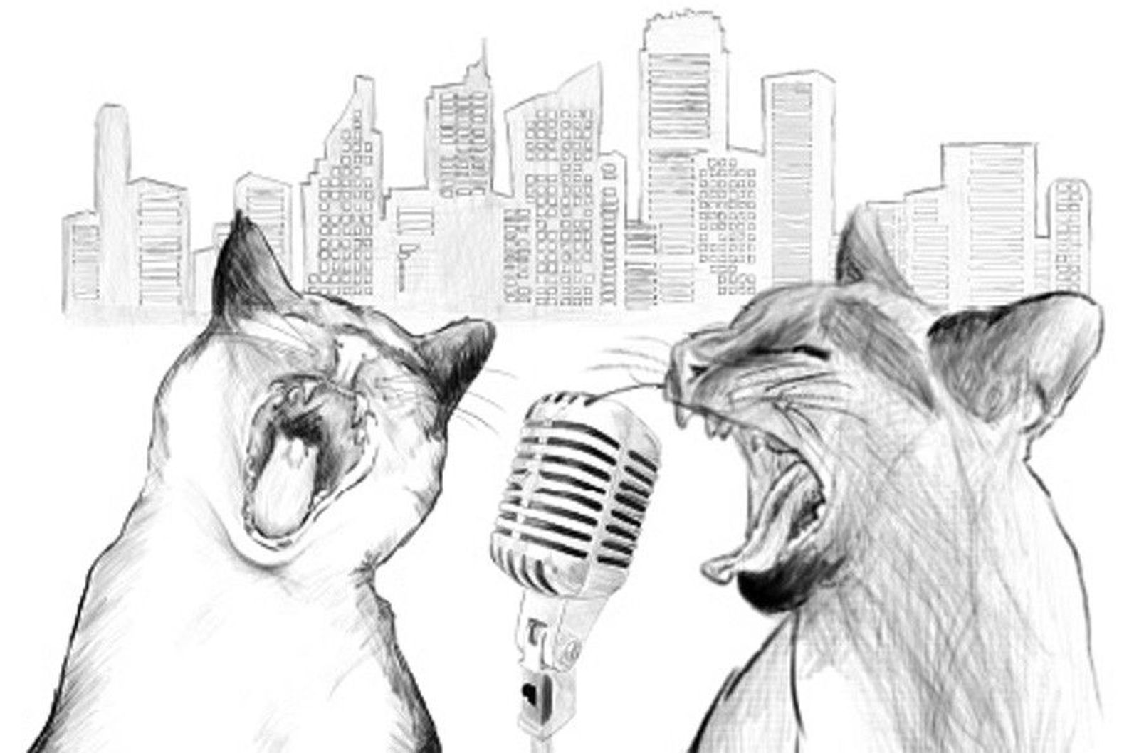 Cartel concierto gatos en la calle 2018