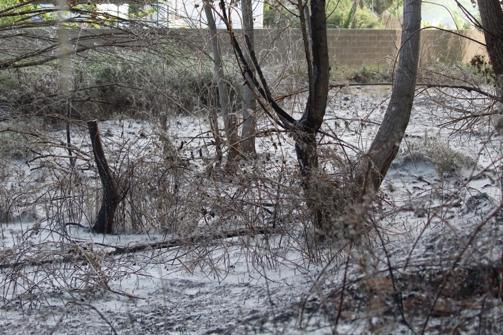 whatsapp-image-2023-05-09-at-18-36-22