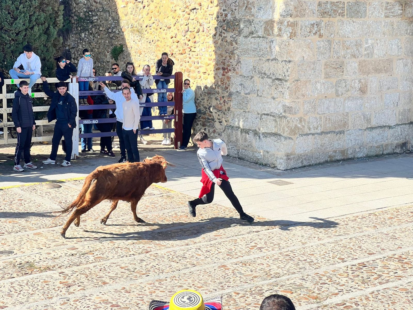 Domingo de piñata en Ciudad Rodrigo