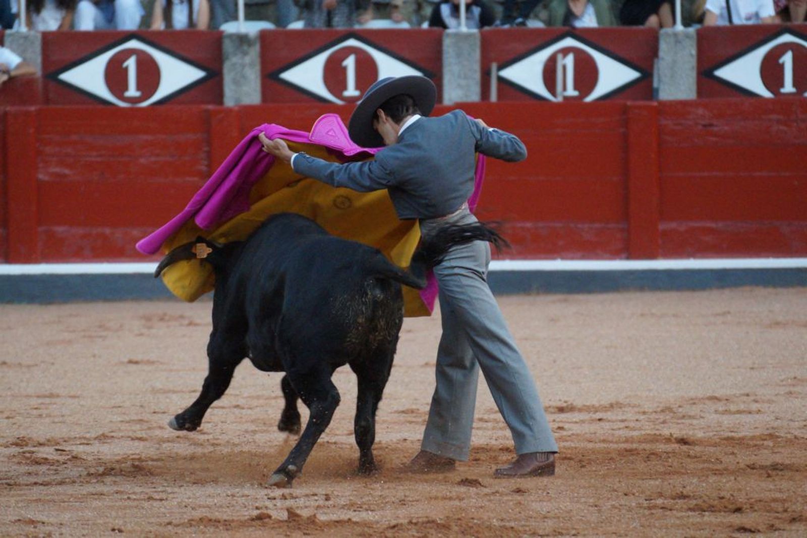 clase-practica-de-tauromaquia-44