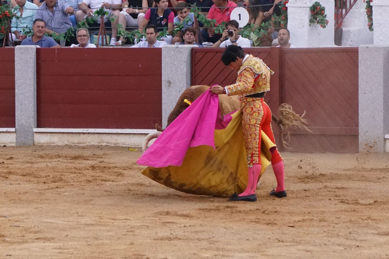 corrida-rejones-guijuelo-3