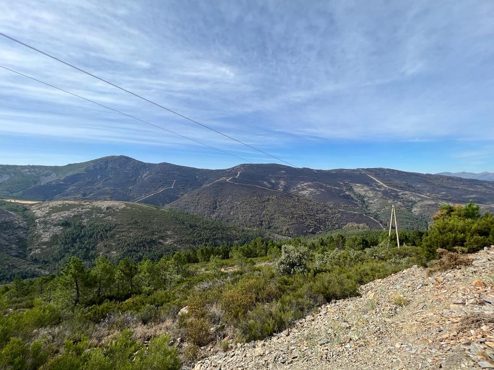 Paso de los lobos hacia Monsagro (6)