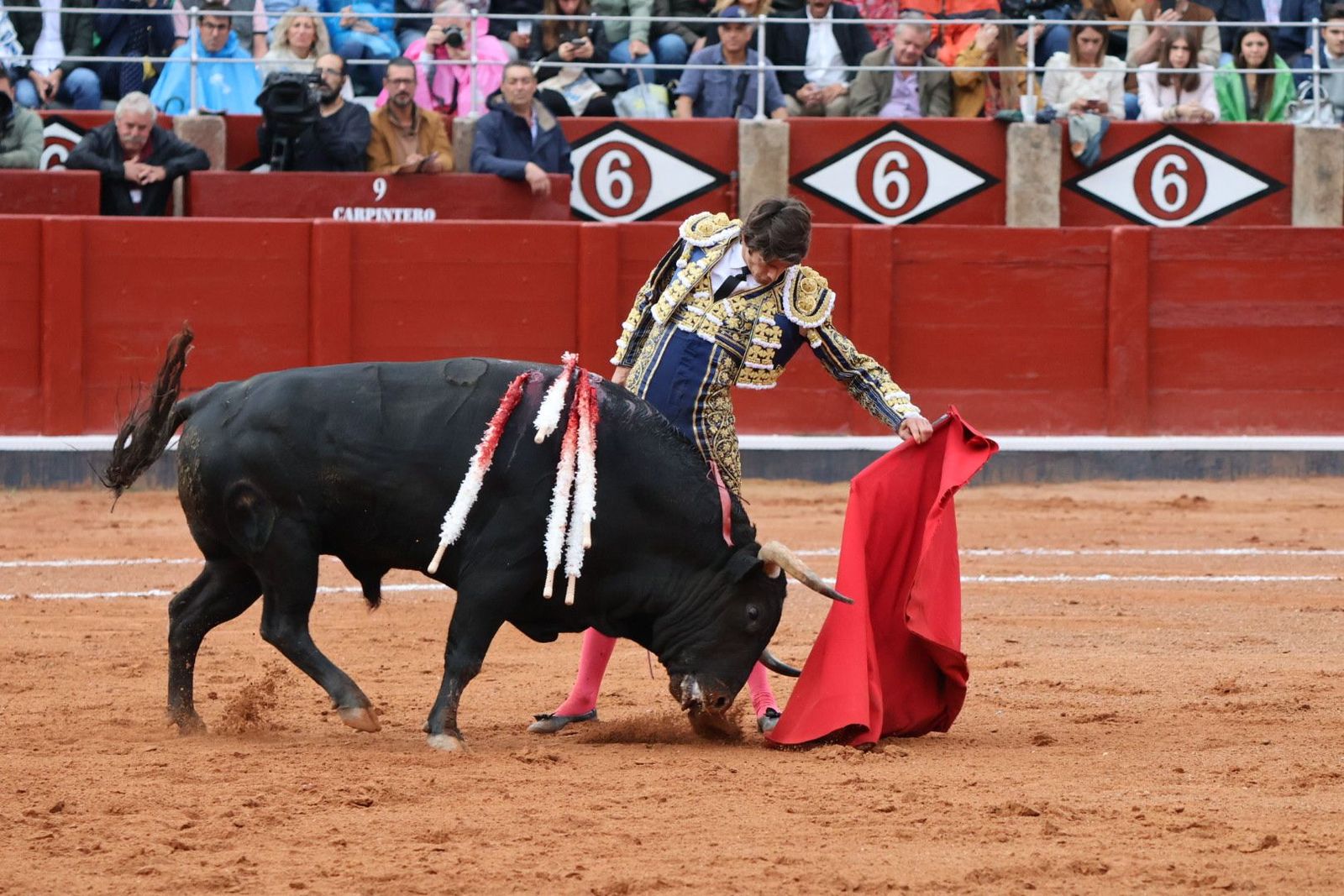 20230916182452-img-5546