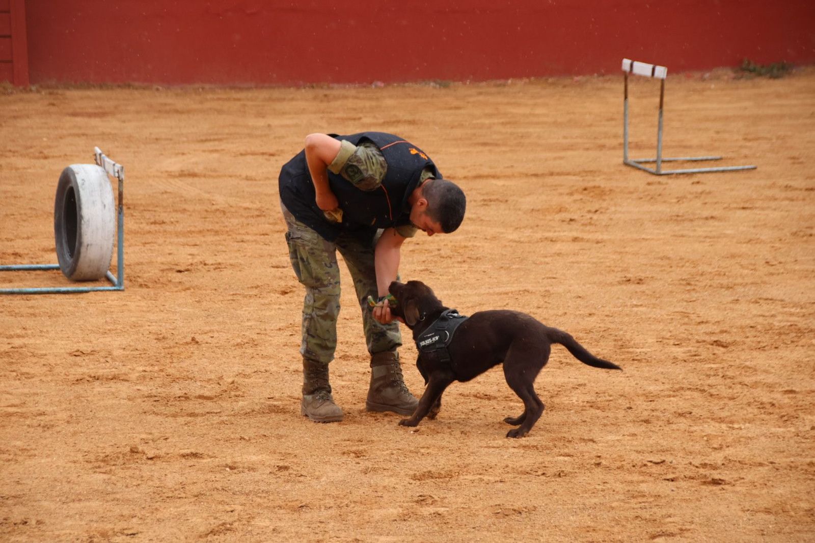 20230902114259-img-7181