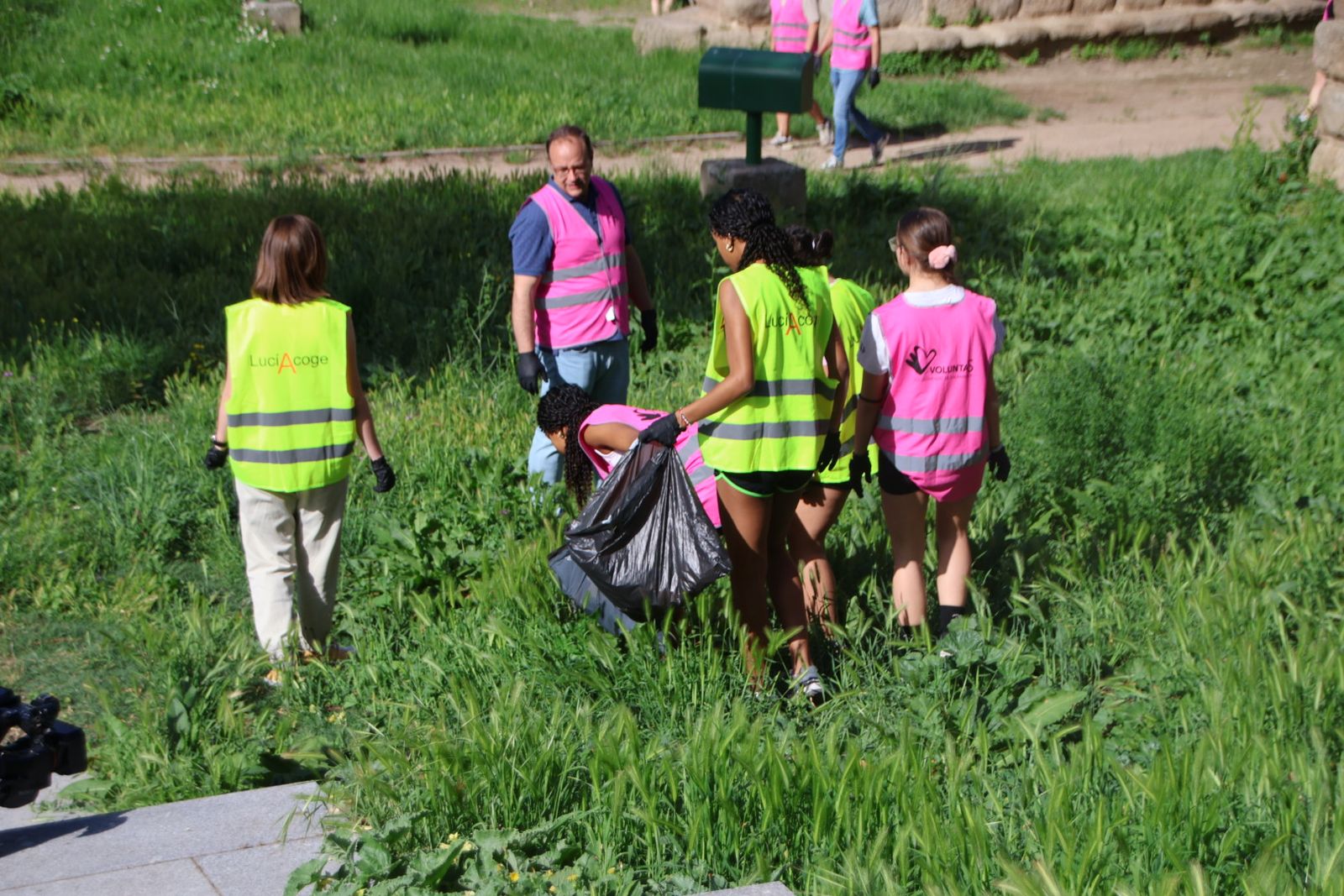 Actividad de voluntariado ambiental del programa ‘VoluntaS’