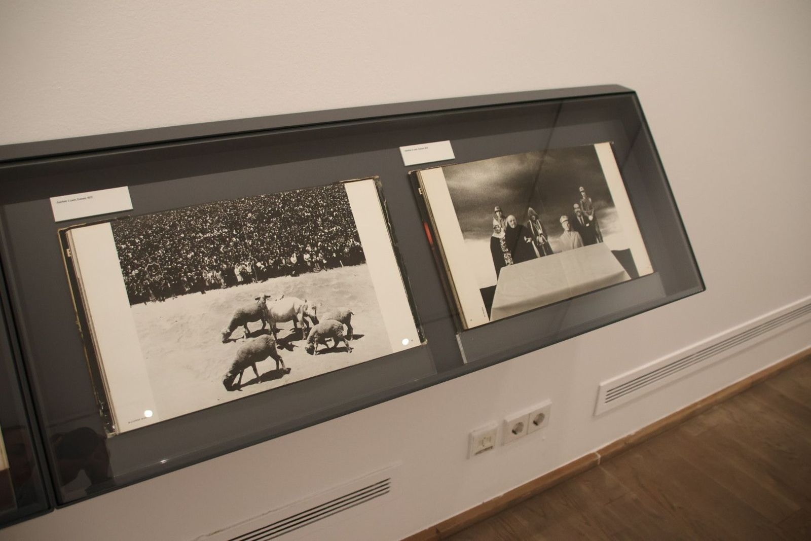 20230921095924-img-7223