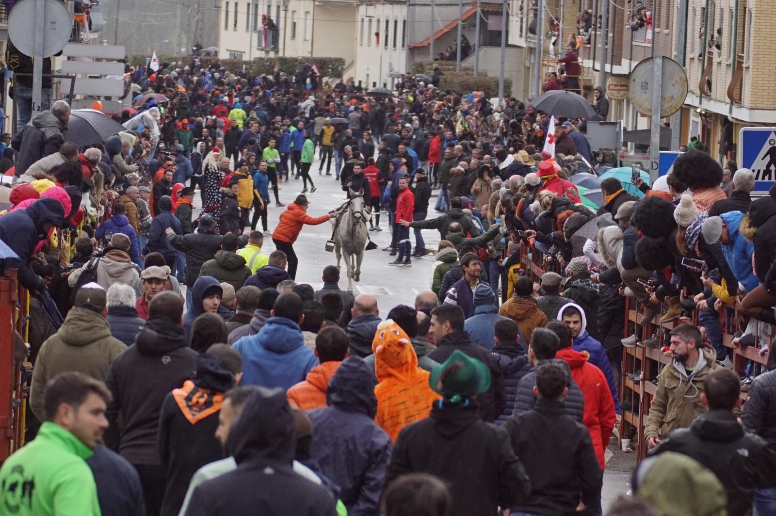 whatsapp-image-2024-02-11-at-11-49-03-3