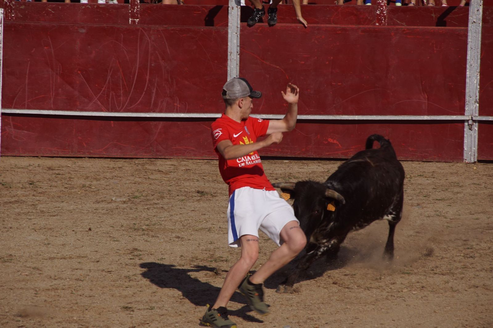 capea-fiestas-de-carrascal-de-barregas-9