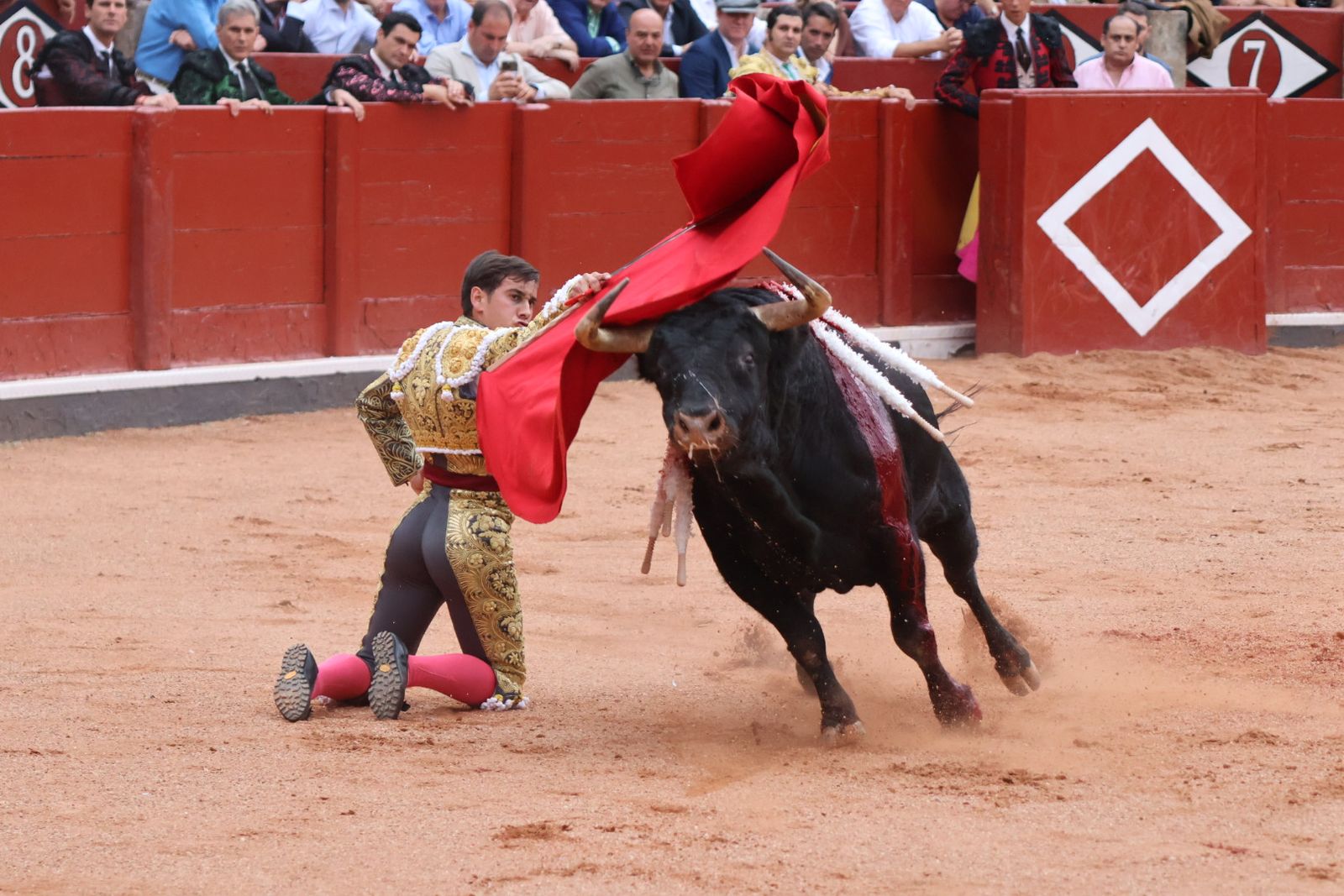 Ismael Martín, Marco Pérez y el aclamado regreso de Morante de la Puebla: su paso por La Glorieta en imágenes