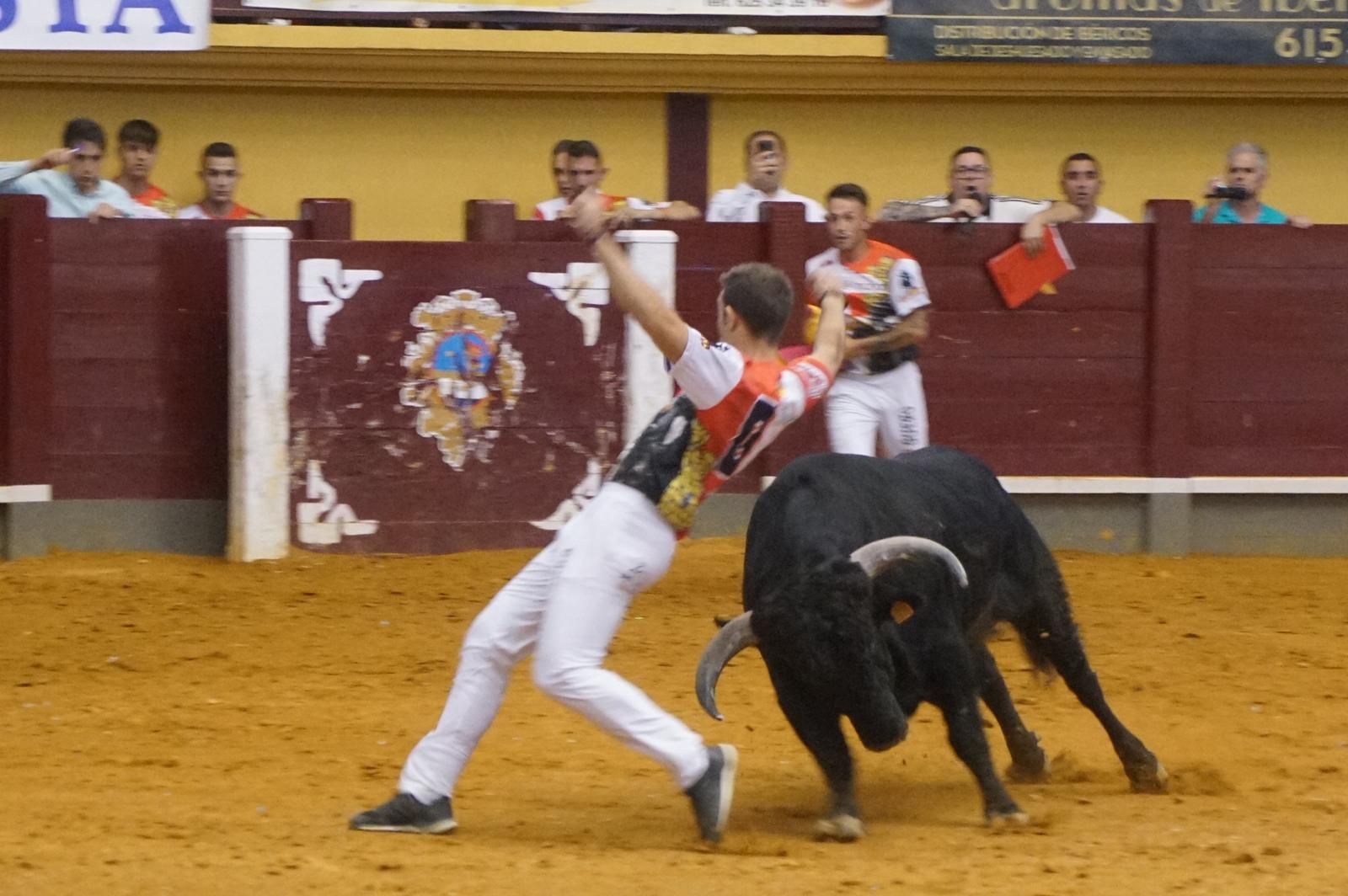 Alba de Tormes celebra un nuevo concurso de cortes