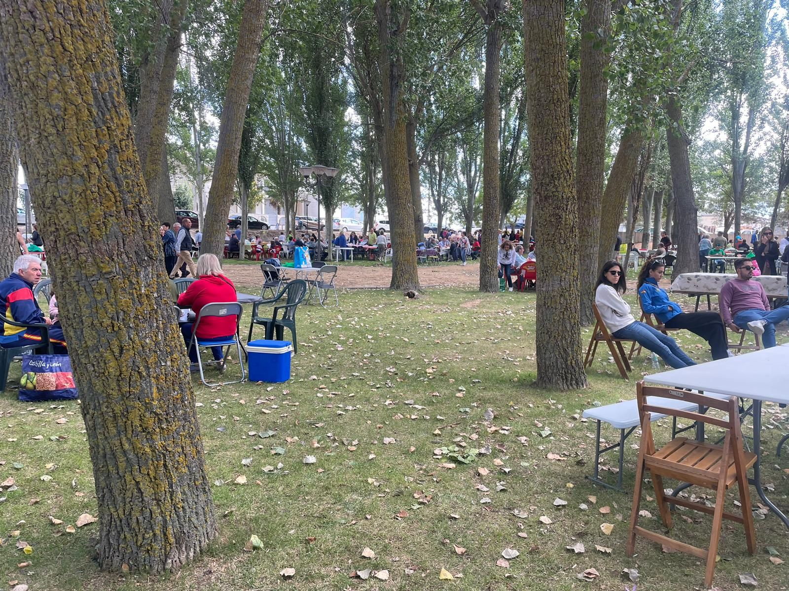 whatsapp-image-2024-09-07-at-17-03-35