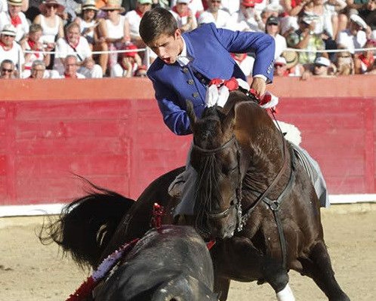 64d51490 c6ef 4414 b1ab b1b29f88622b