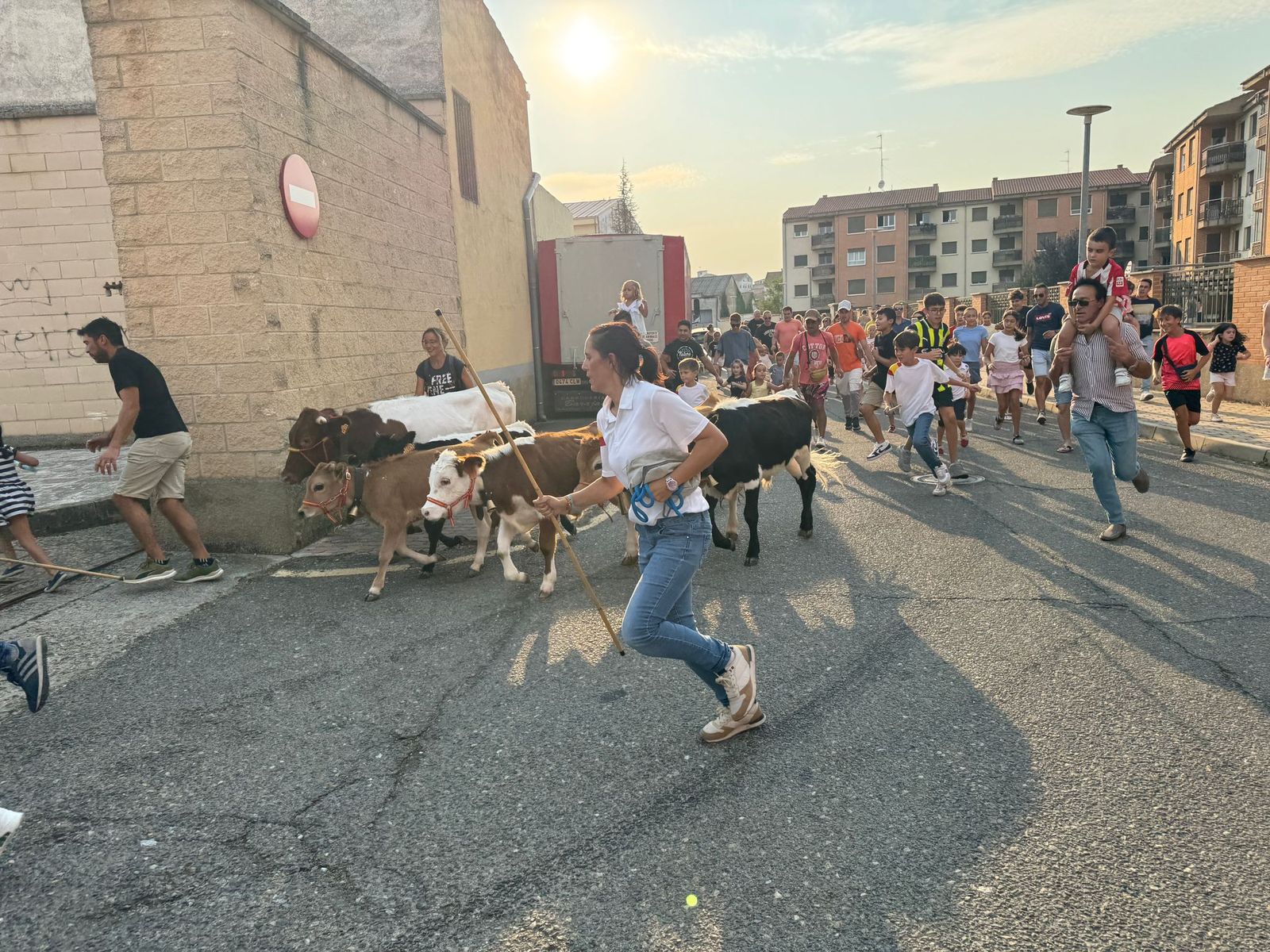 Encierro infantil de Mini Bueyes en Guijuelo durante sus fiestas 2025