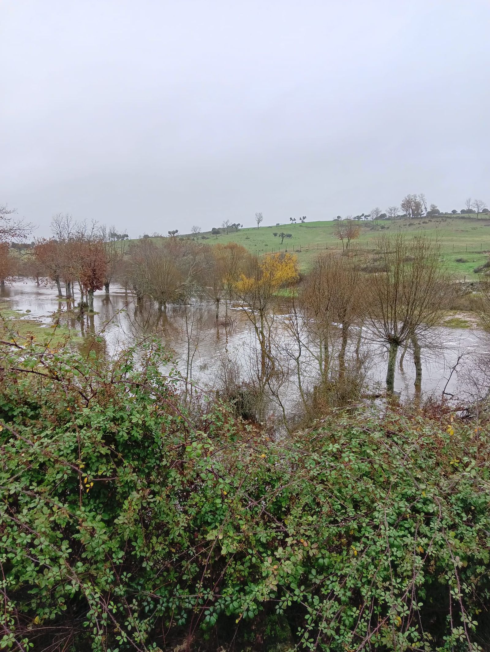 inundaciones-en-la-zonas-de-perena-masueco-y-villarino-3