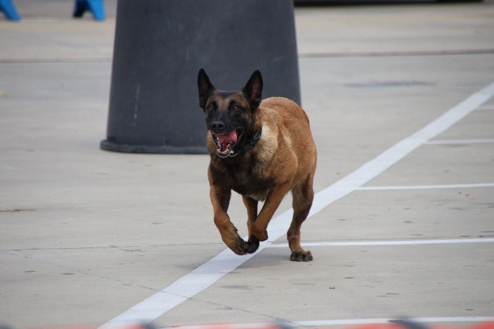 20230608103724-img-0487