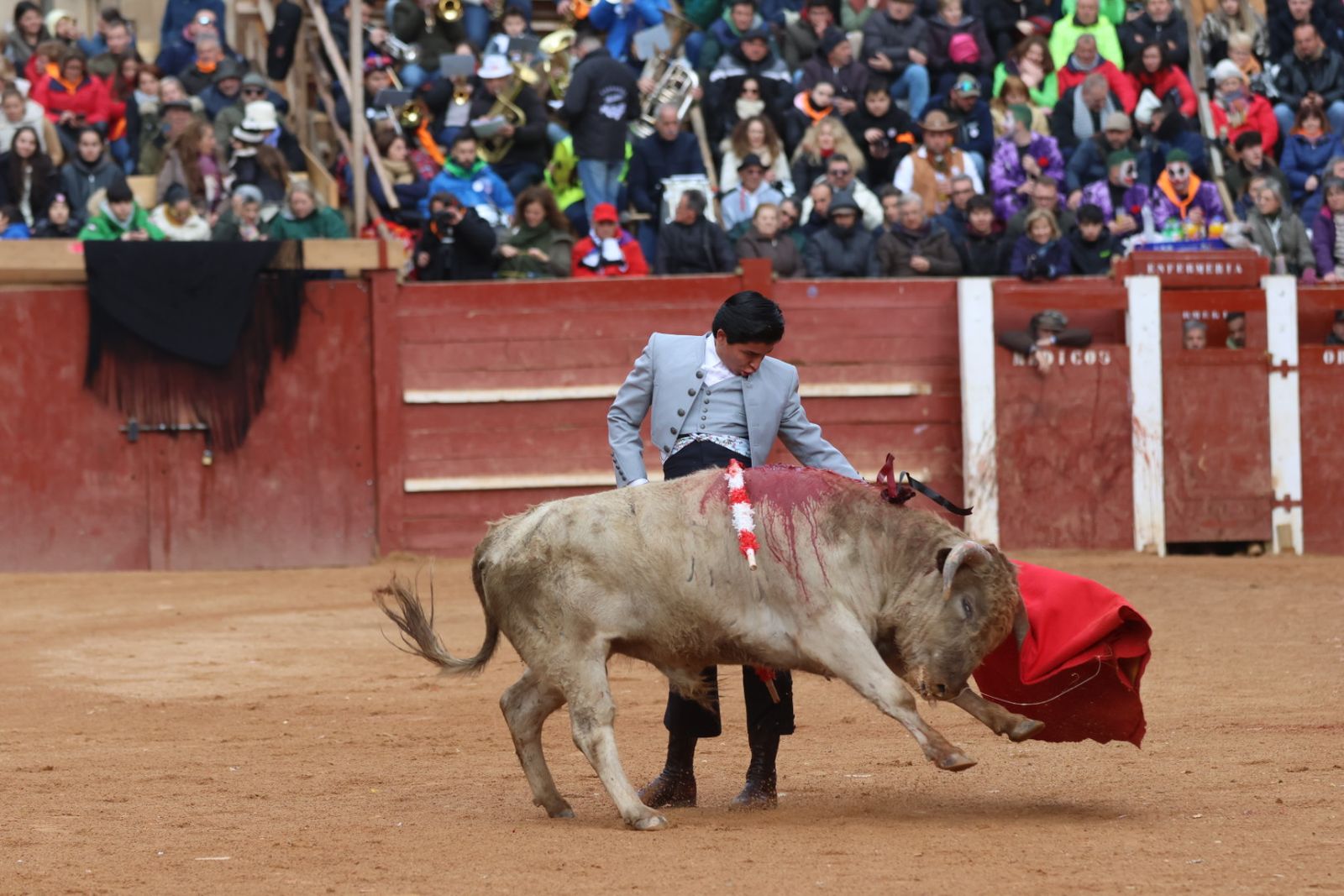 Novillada sin picadores del bolsín taurino y rejones en Ciudad Rodrigo
