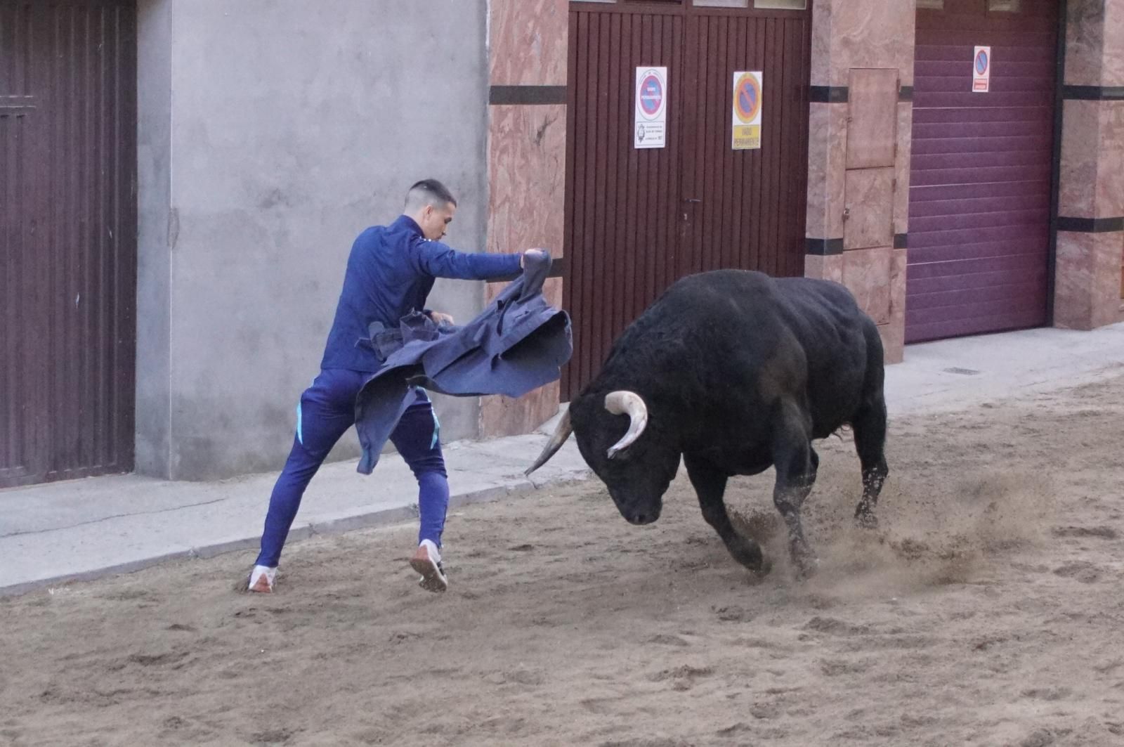 Toro del cajón y capea en Alba de Tormes