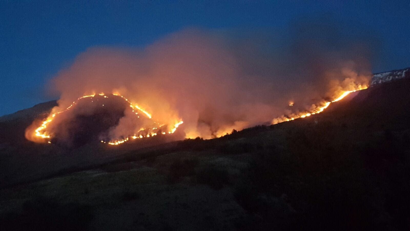Un incendio intencionado en Navasfrías arrasa 4.000 metros cuadrados de un robledal