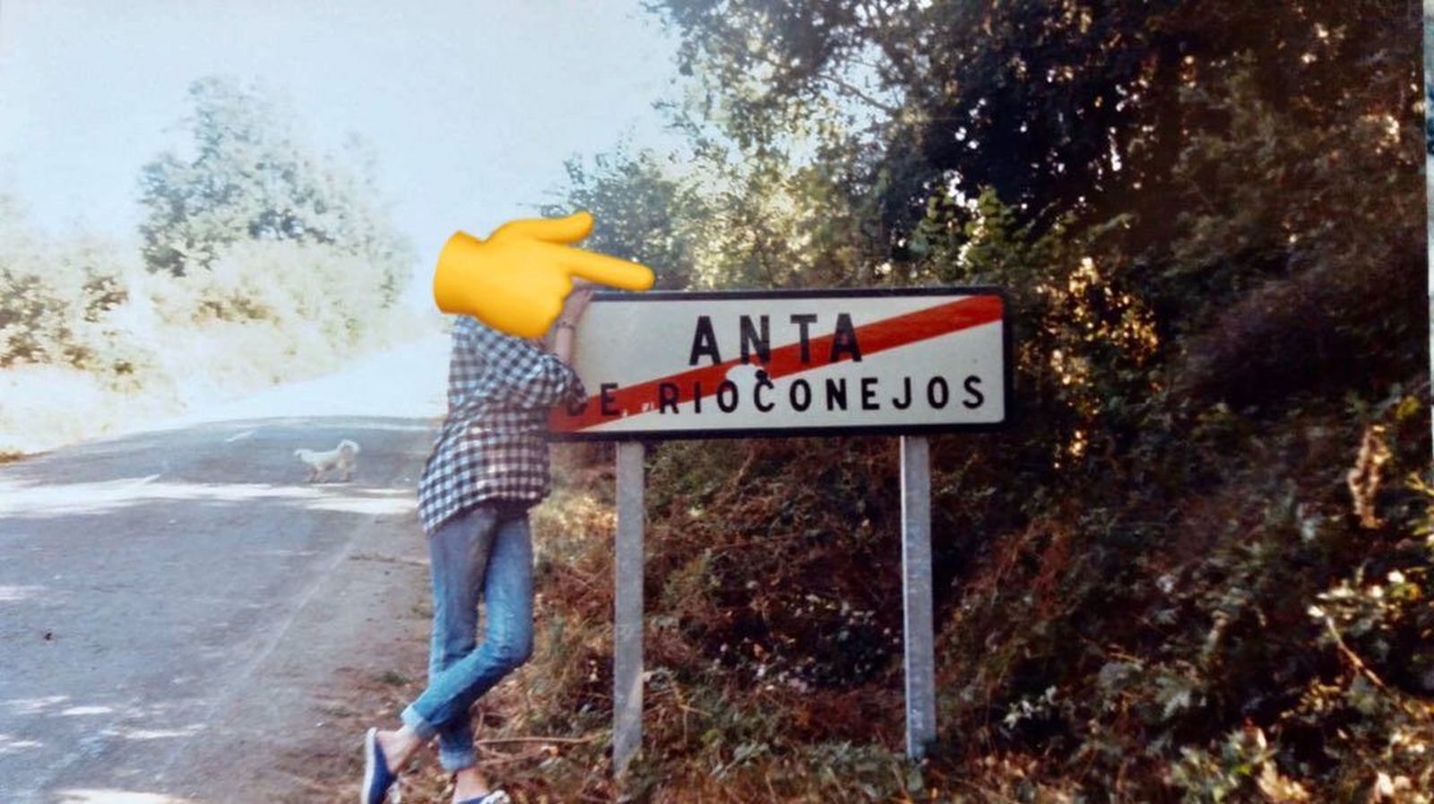 Anta rioconejos carretera (1)