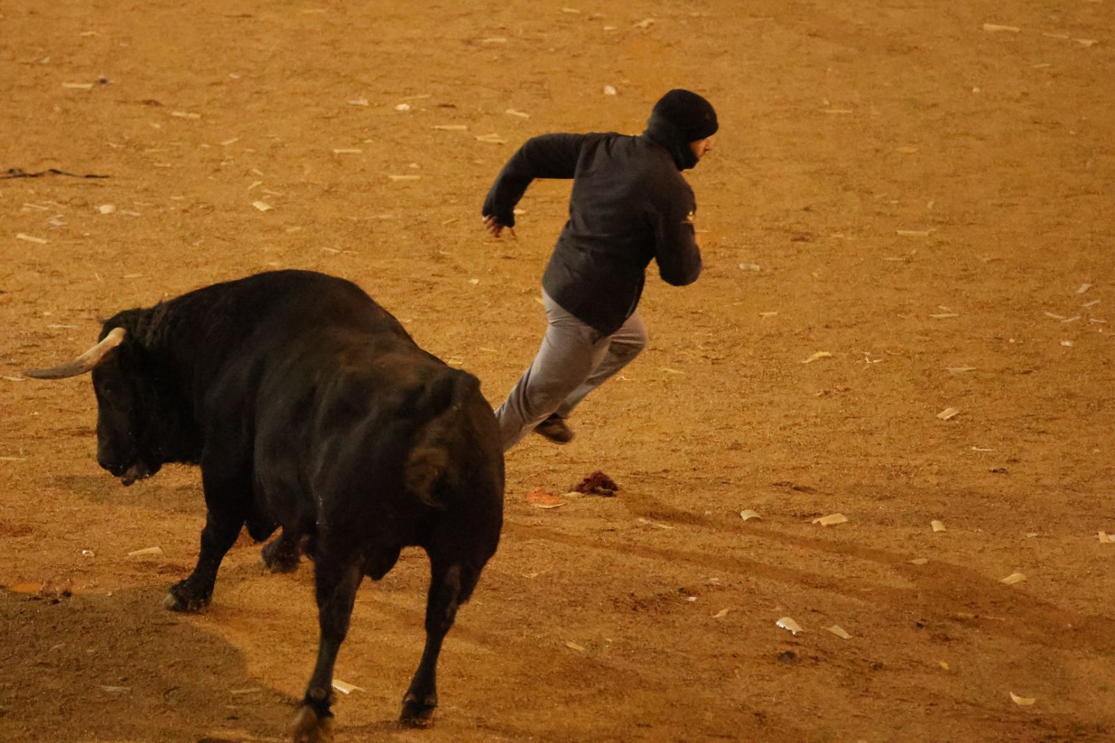 Capea Nocturna del Viernes en Ciudad Rodrigo