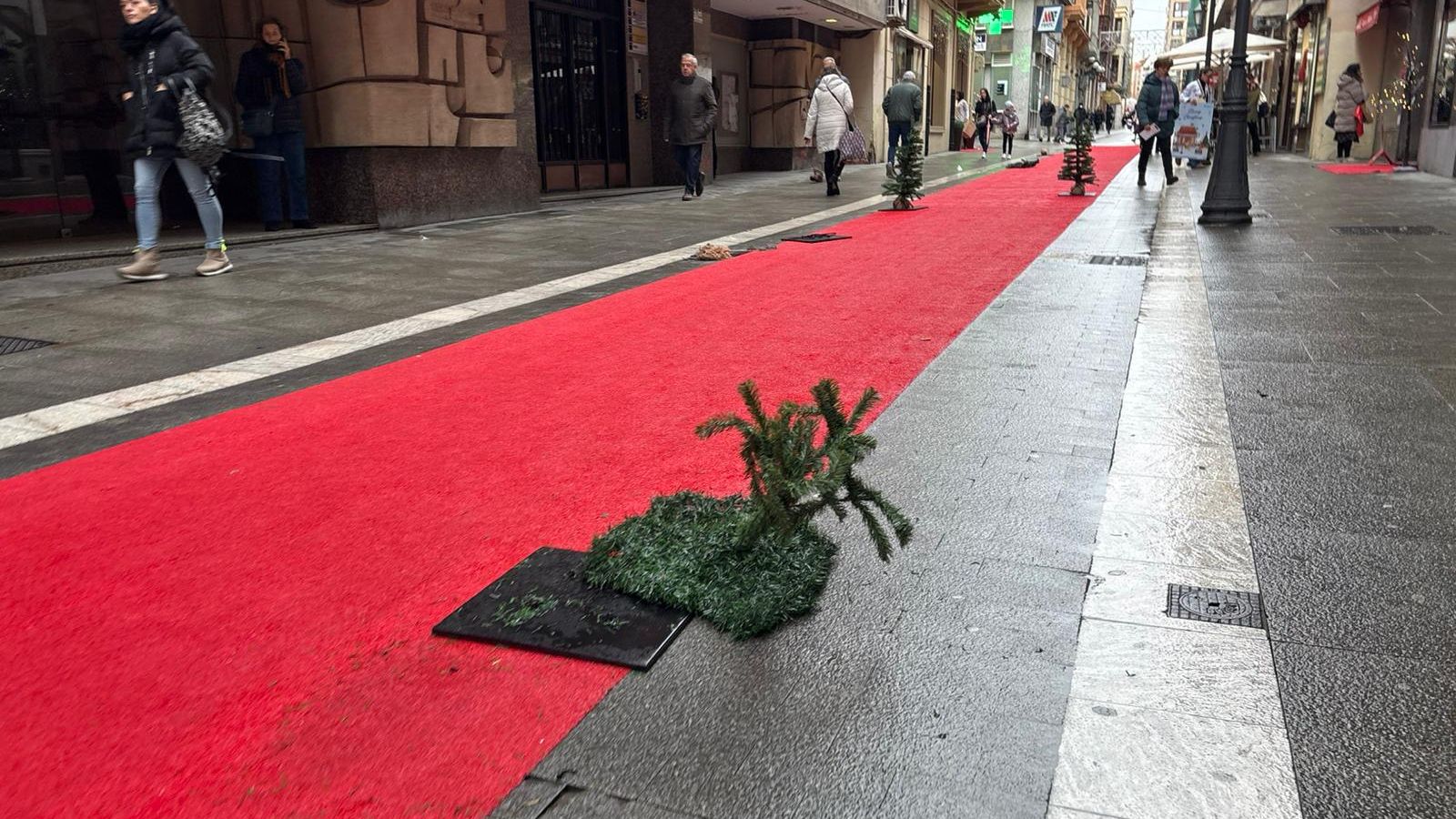 Vandalismo. Arbolitos destrozados en la calle San Torcuato