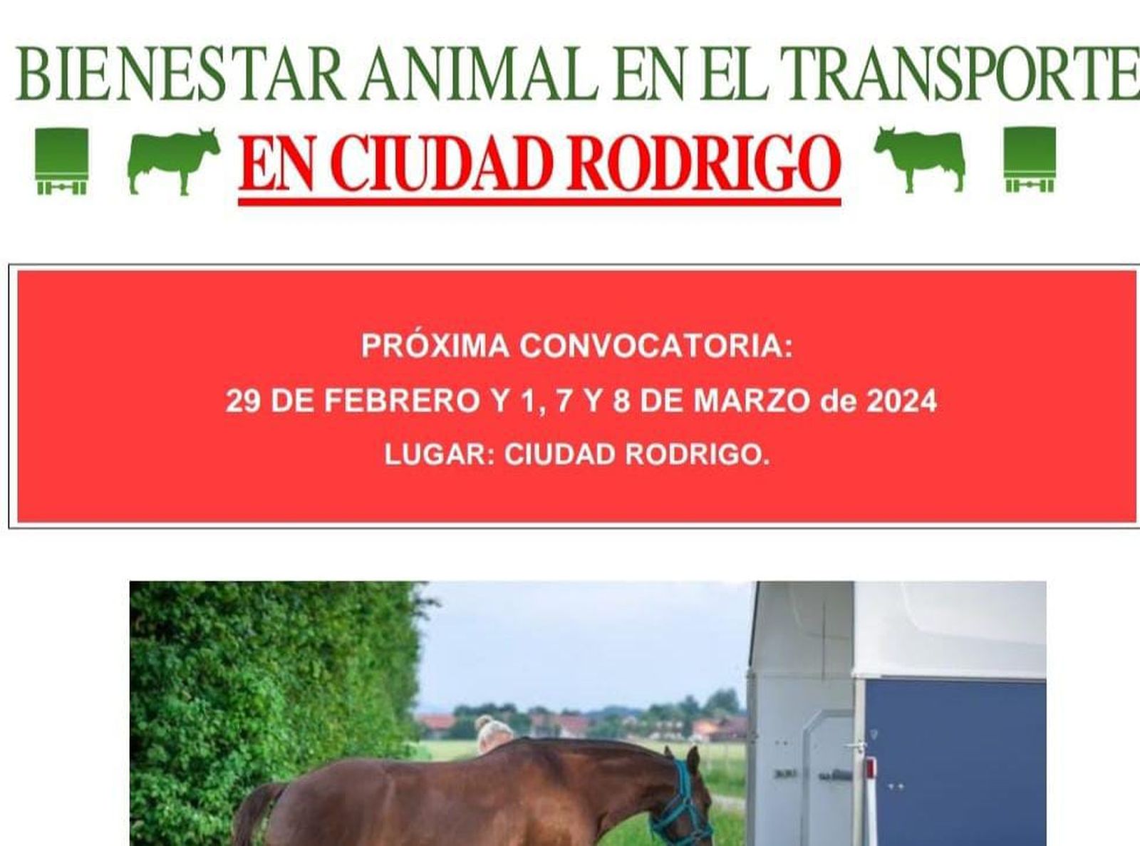 Curso de bienestar animal de Ciudad Rodrigo