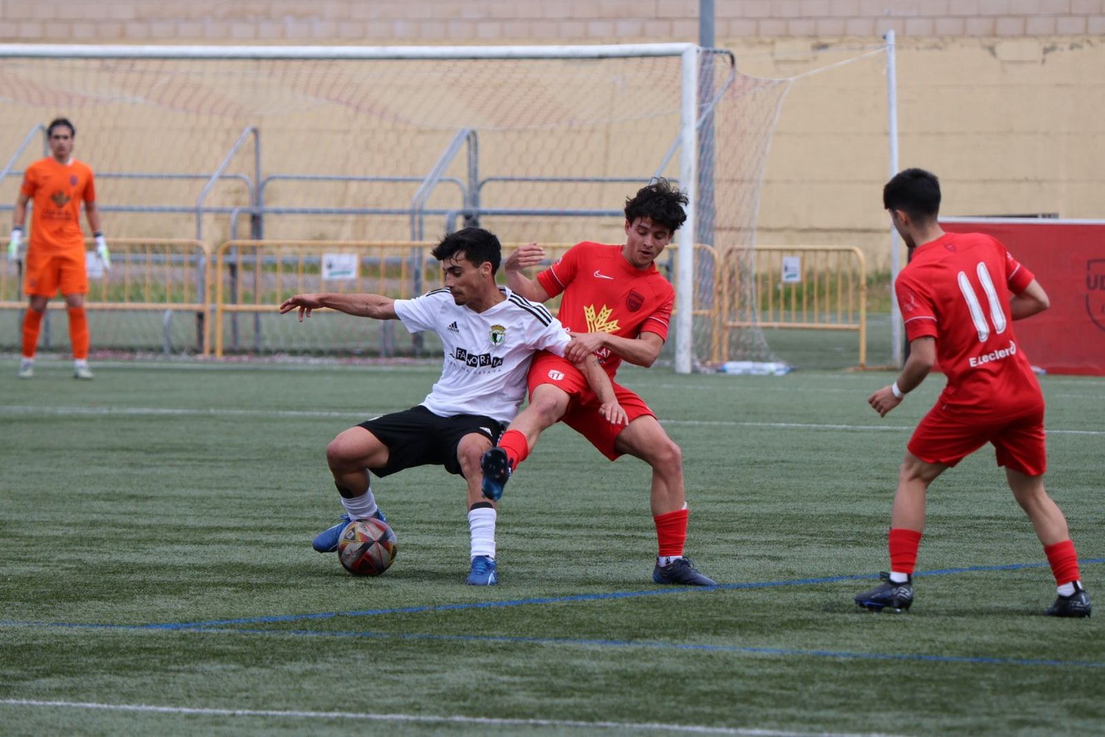 20240428164051-img-2533