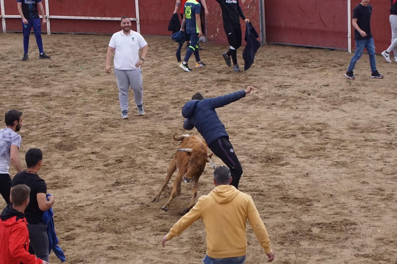 whatsapp-image-2023-05-22-at-20-19-33