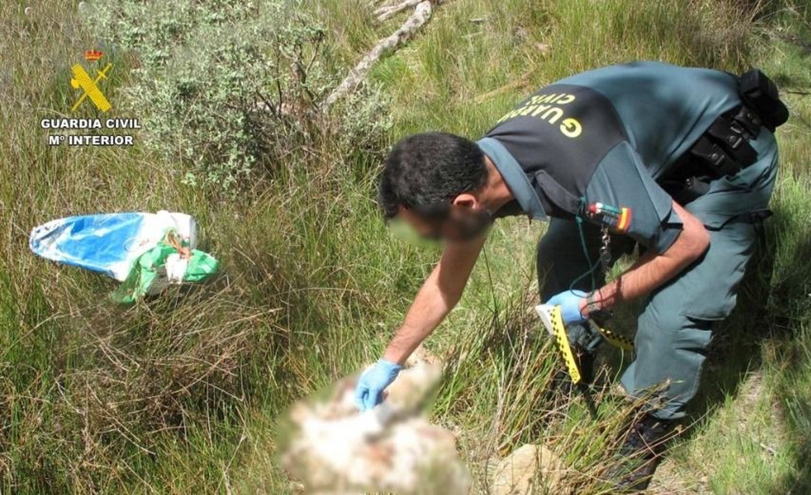 Investigan a dos vecinos de Zamora por maltrato animal: dos perros muertos por ahogamiento y desnutrición