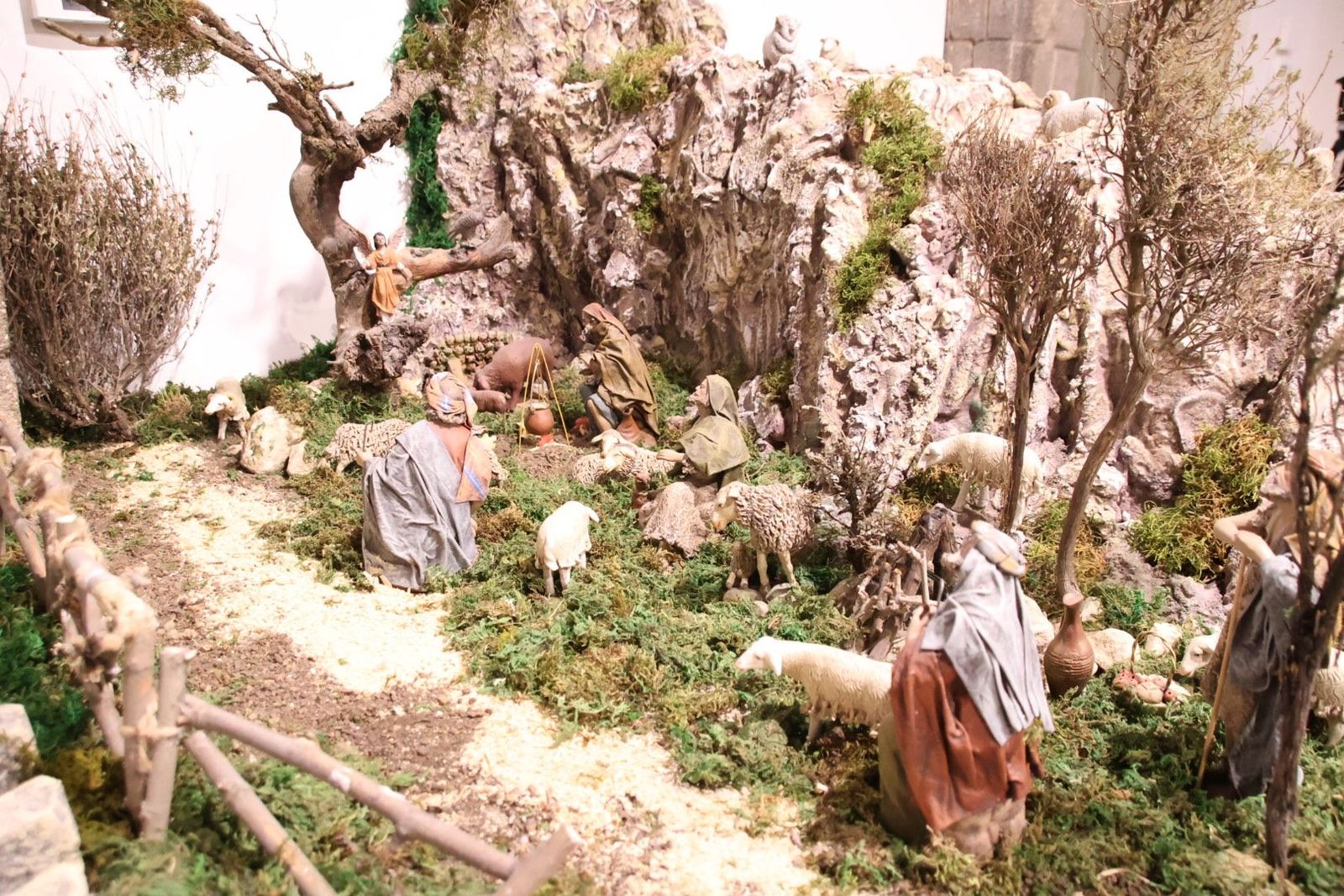 20231201133901-img-5026