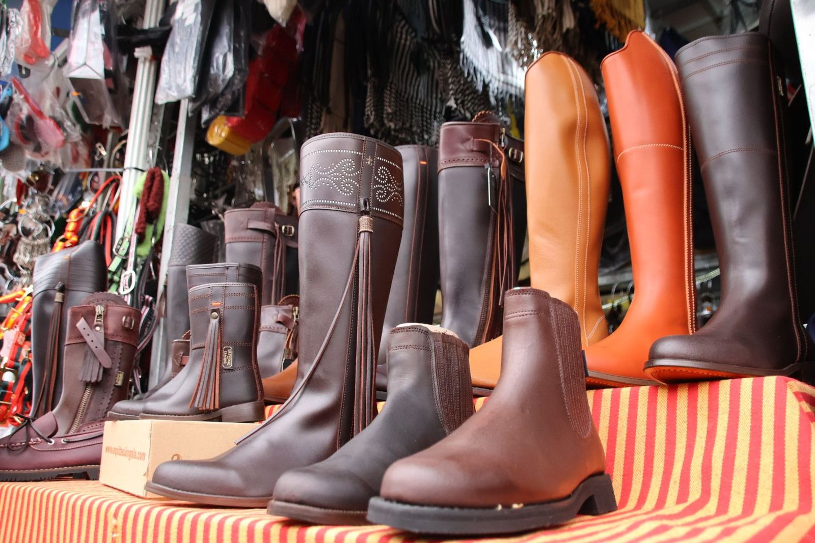 20230903111216-img-7693