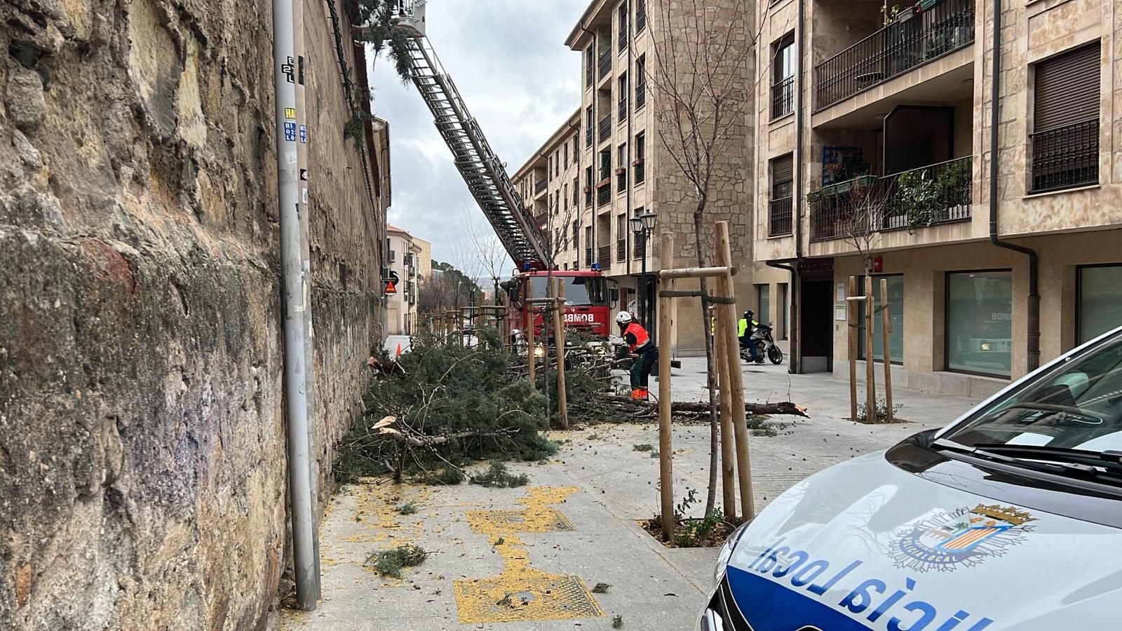 whatsapp-image-2024-02-08-at-16-24-28