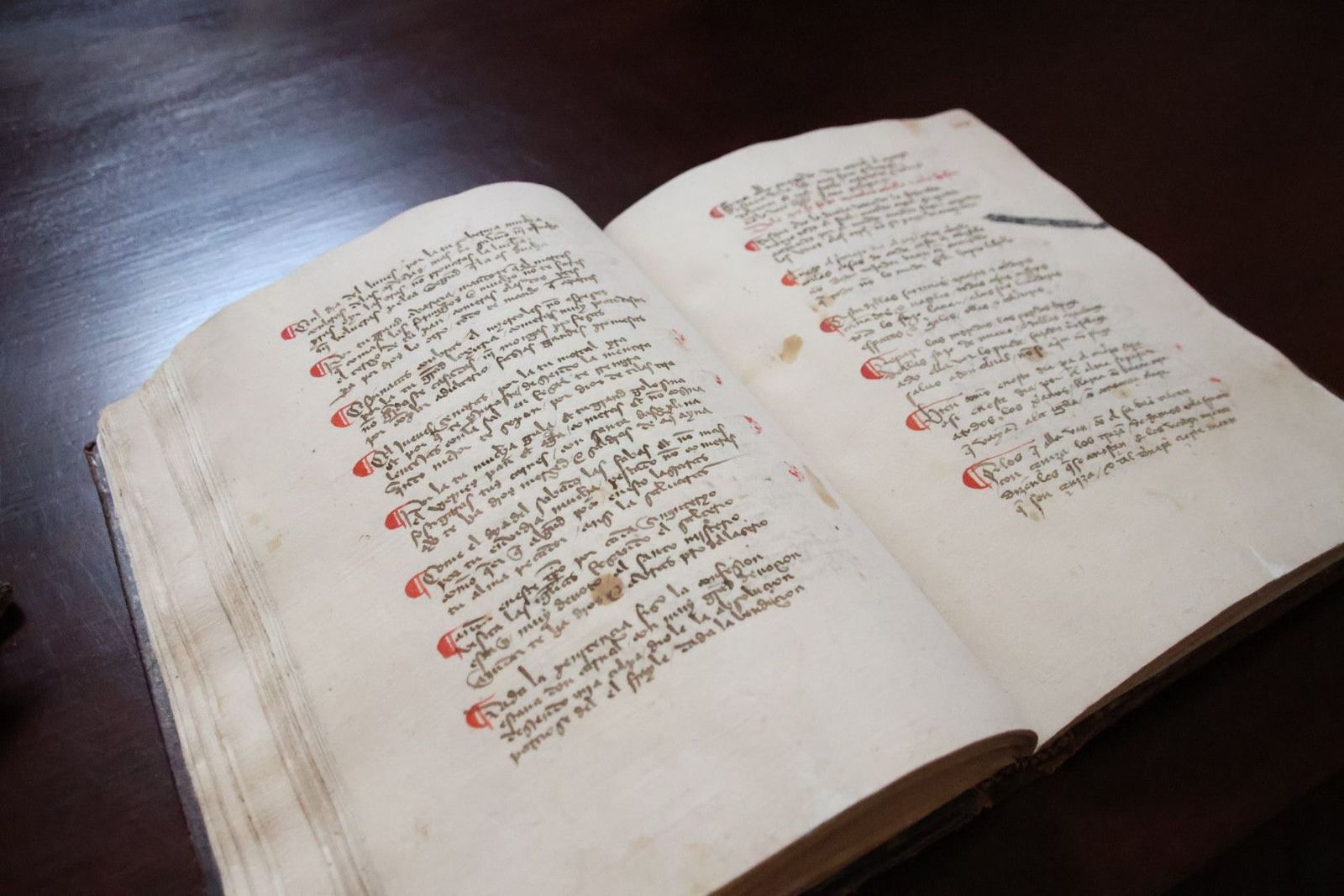 20231005112337-img-1339