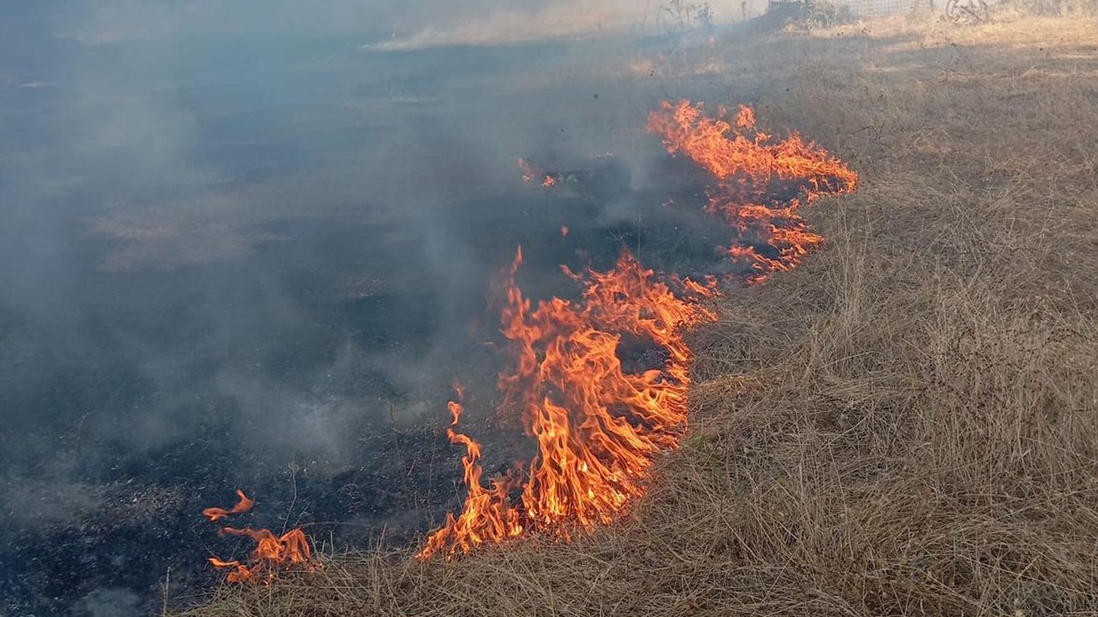 Incendio forestal declarado en Gallegos de Argañán