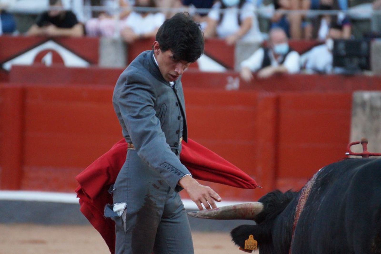 clase-practica-de-tauromaquia-31