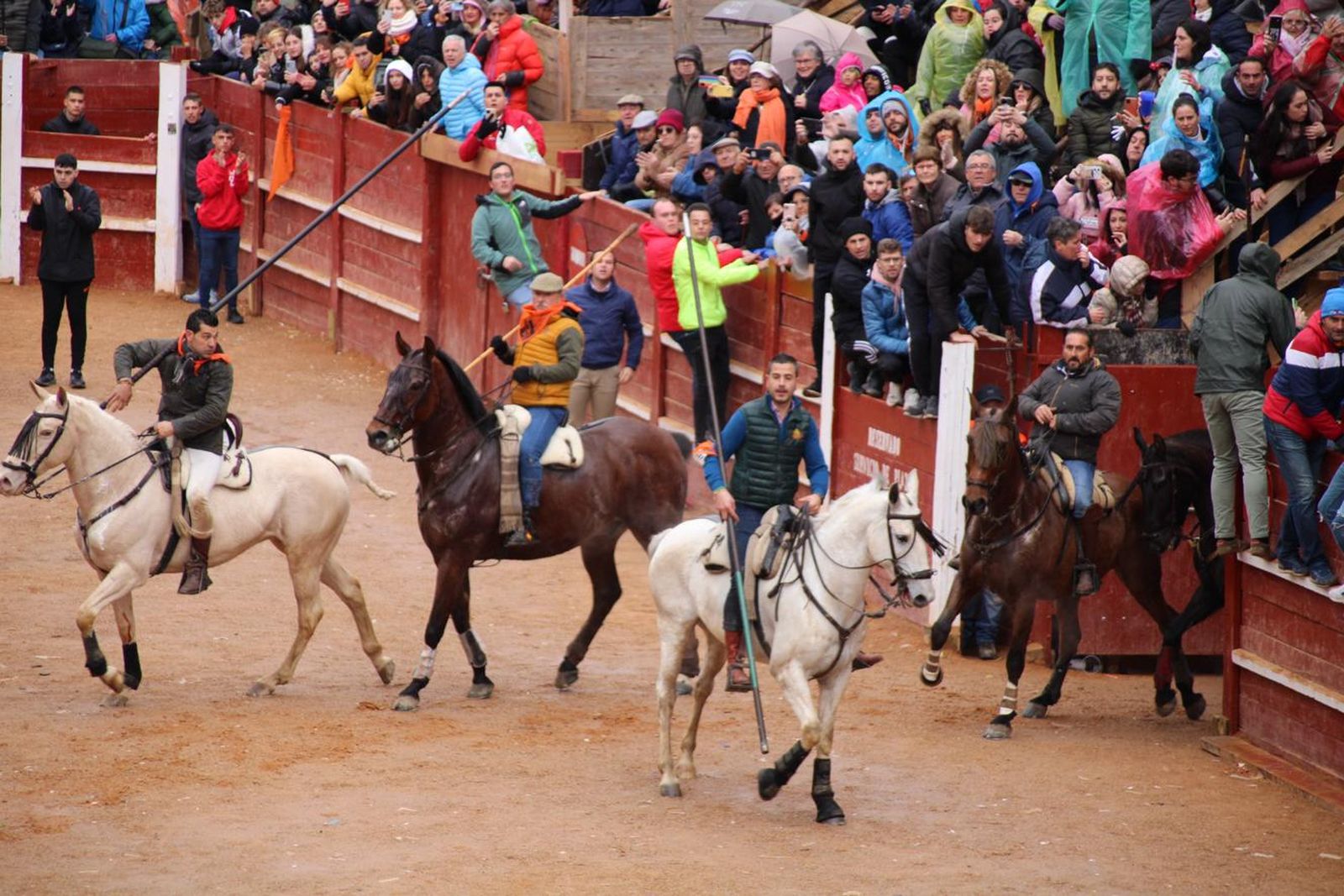 whatsapp-image-2024-02-11-at-11-41-49-10