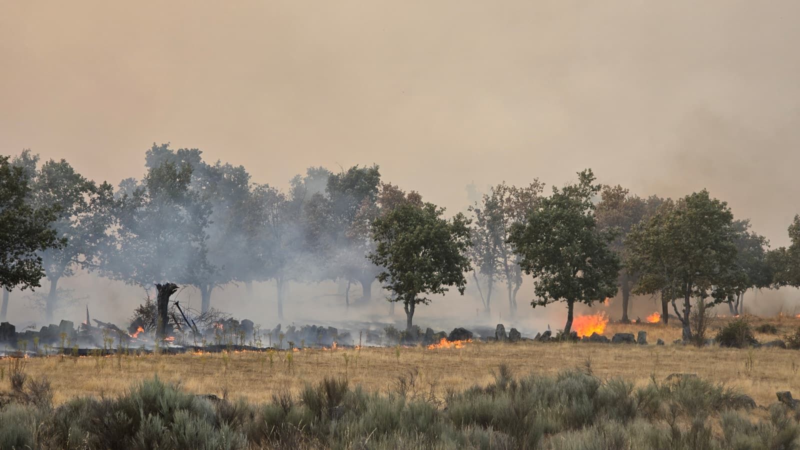 Incendio Cipérez