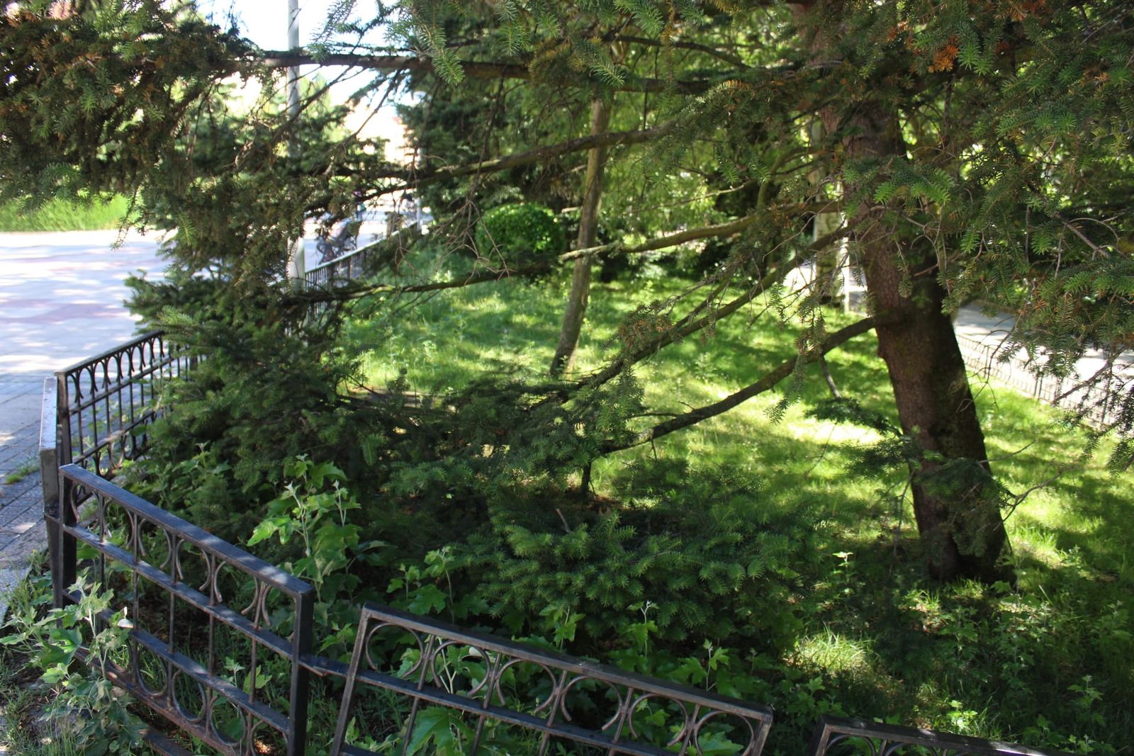 whatsapp-image-2024-07-02-at-11-30-14-5