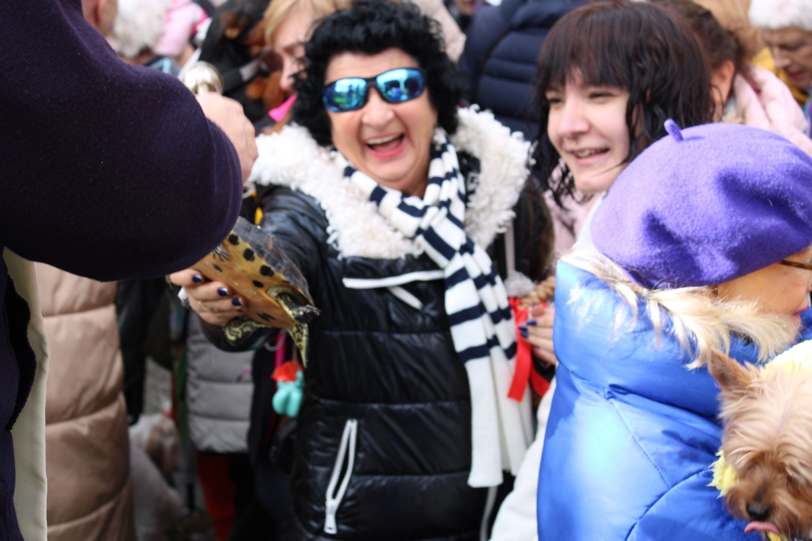 san-anton-bendicion-de-animales-2024-foto-s24h-76