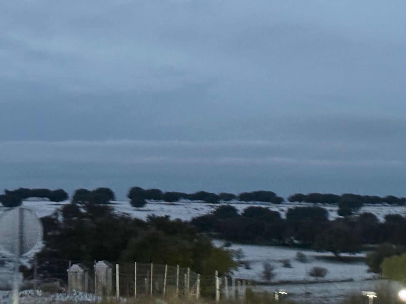 whatsapp-image-2025-03-02-at-07-58-11