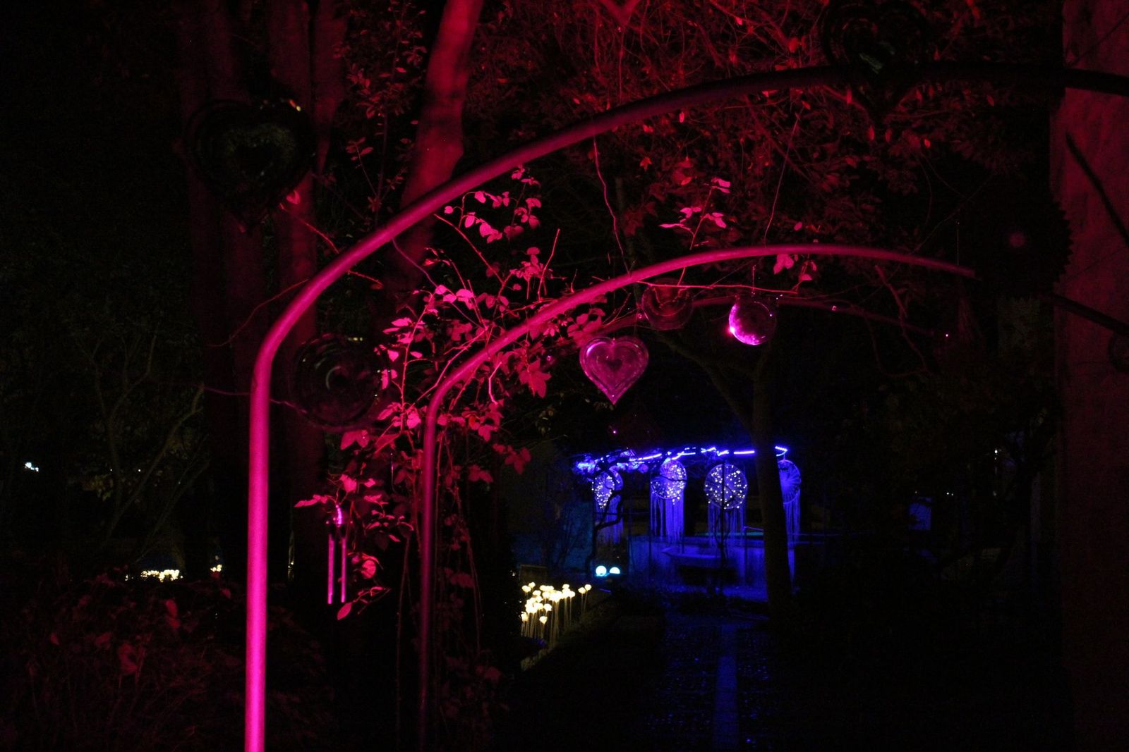 20231204212350-img-6402