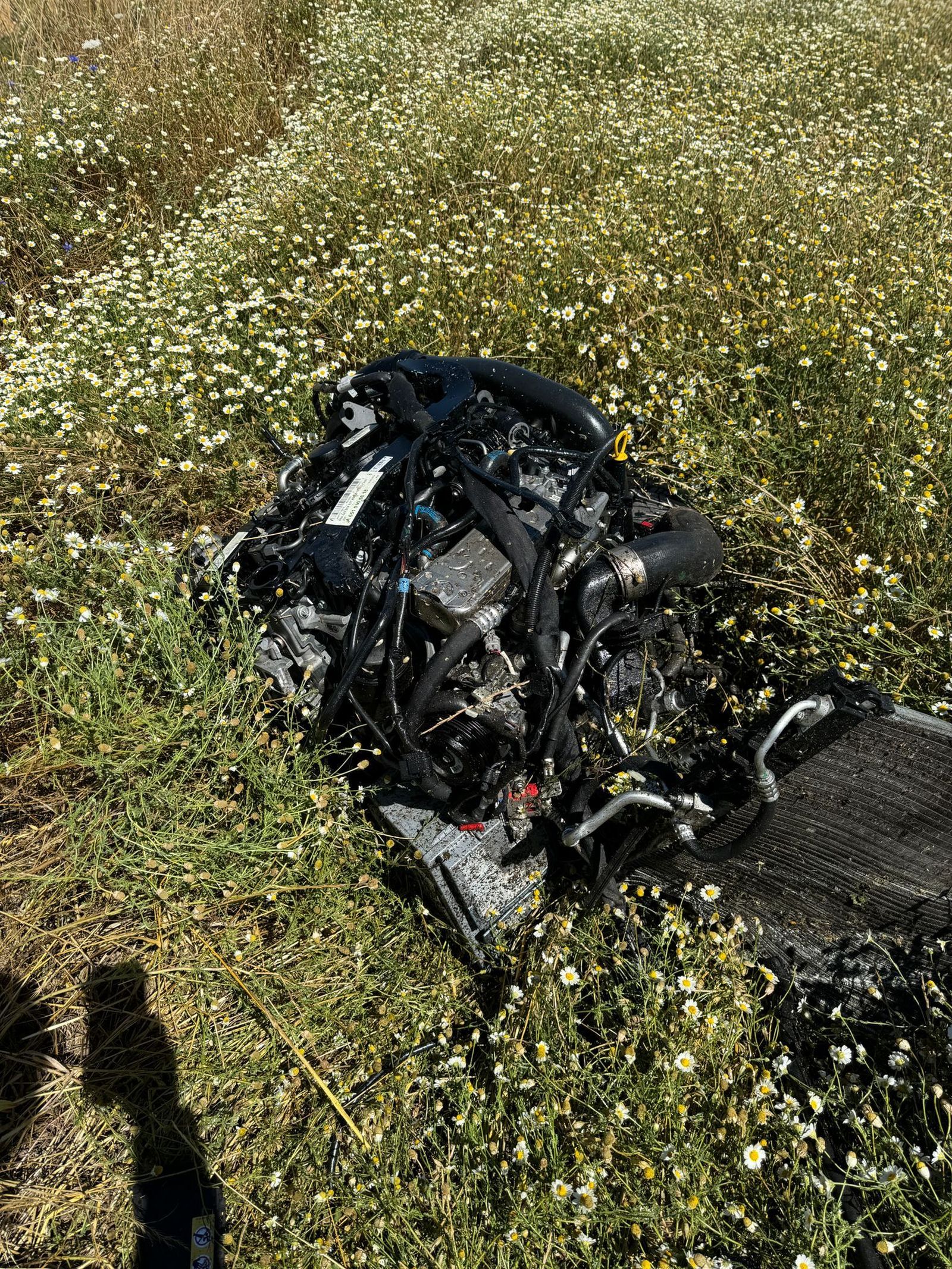 whatsapp-image-2024-07-07-at-17-56-00-1