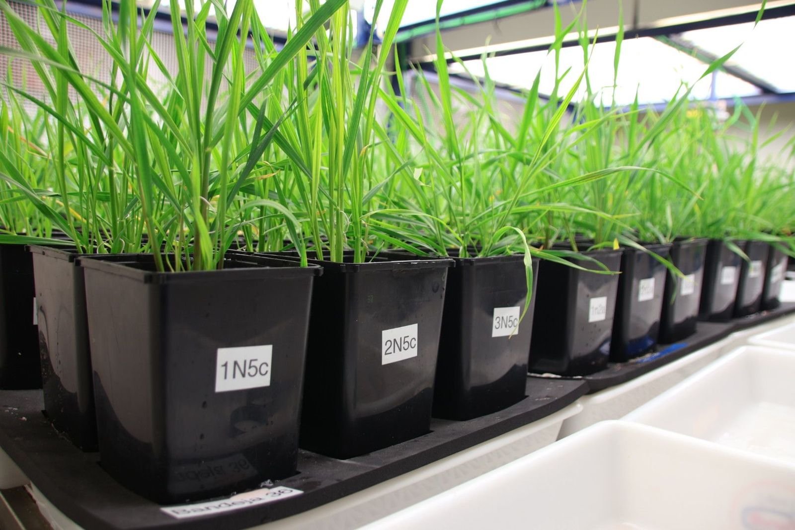 20240308103605-img-9417