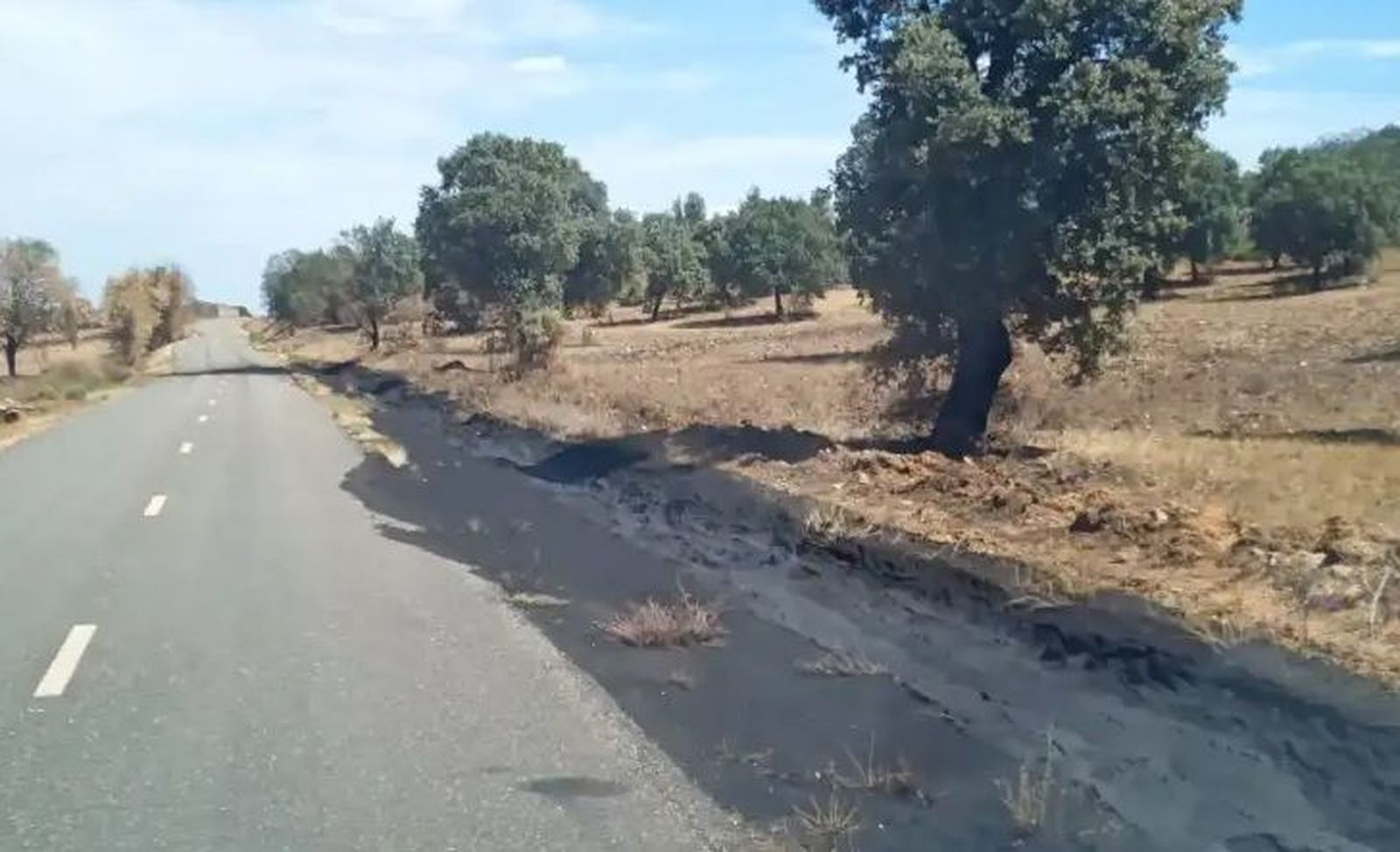 La lluvia provoca balsas de ceniza en carreteras y campos de Zamora
