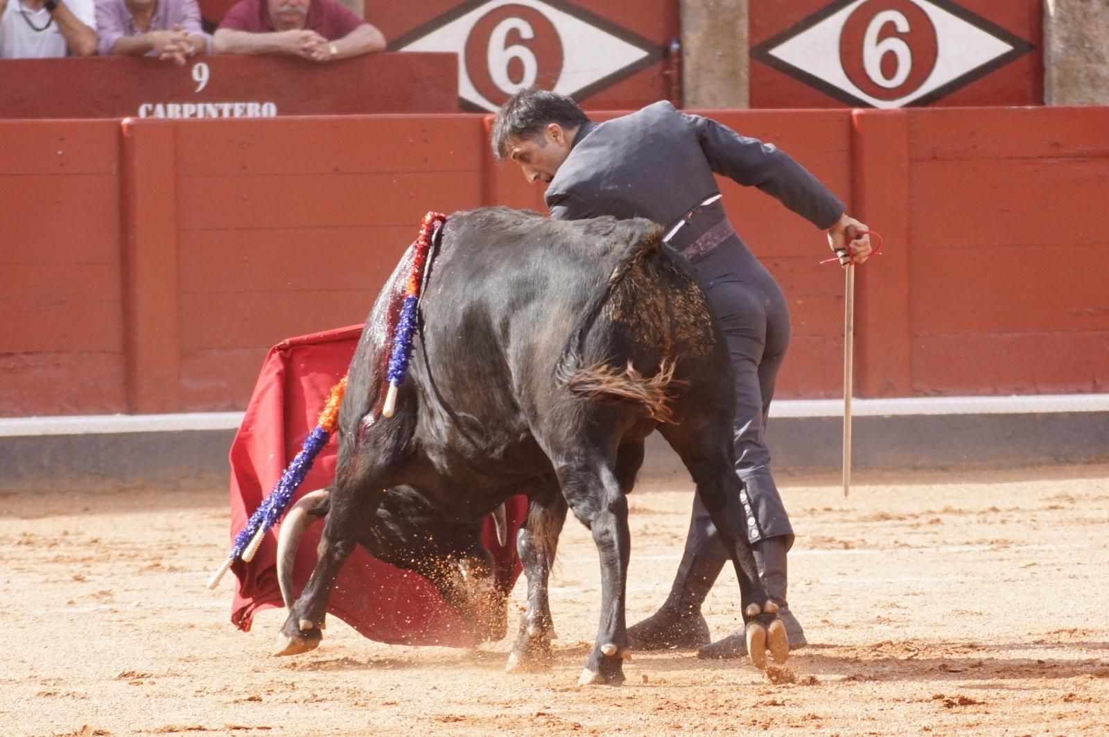 whatsapp-image-2025-06-12-at-21-26-00-4