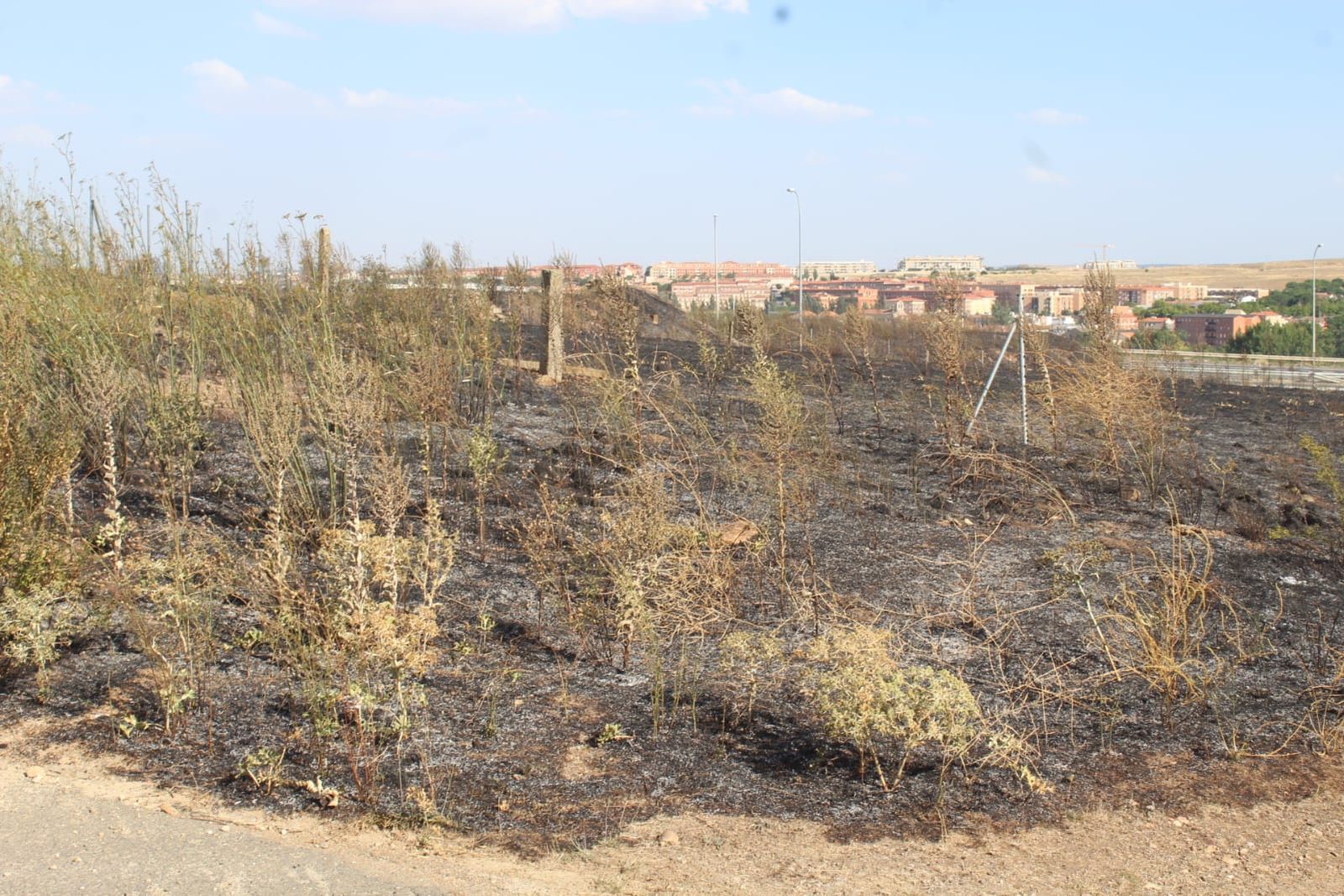 imagen-de-whatsapp-2024-07-30-a-las-18-51-50-6691bcae