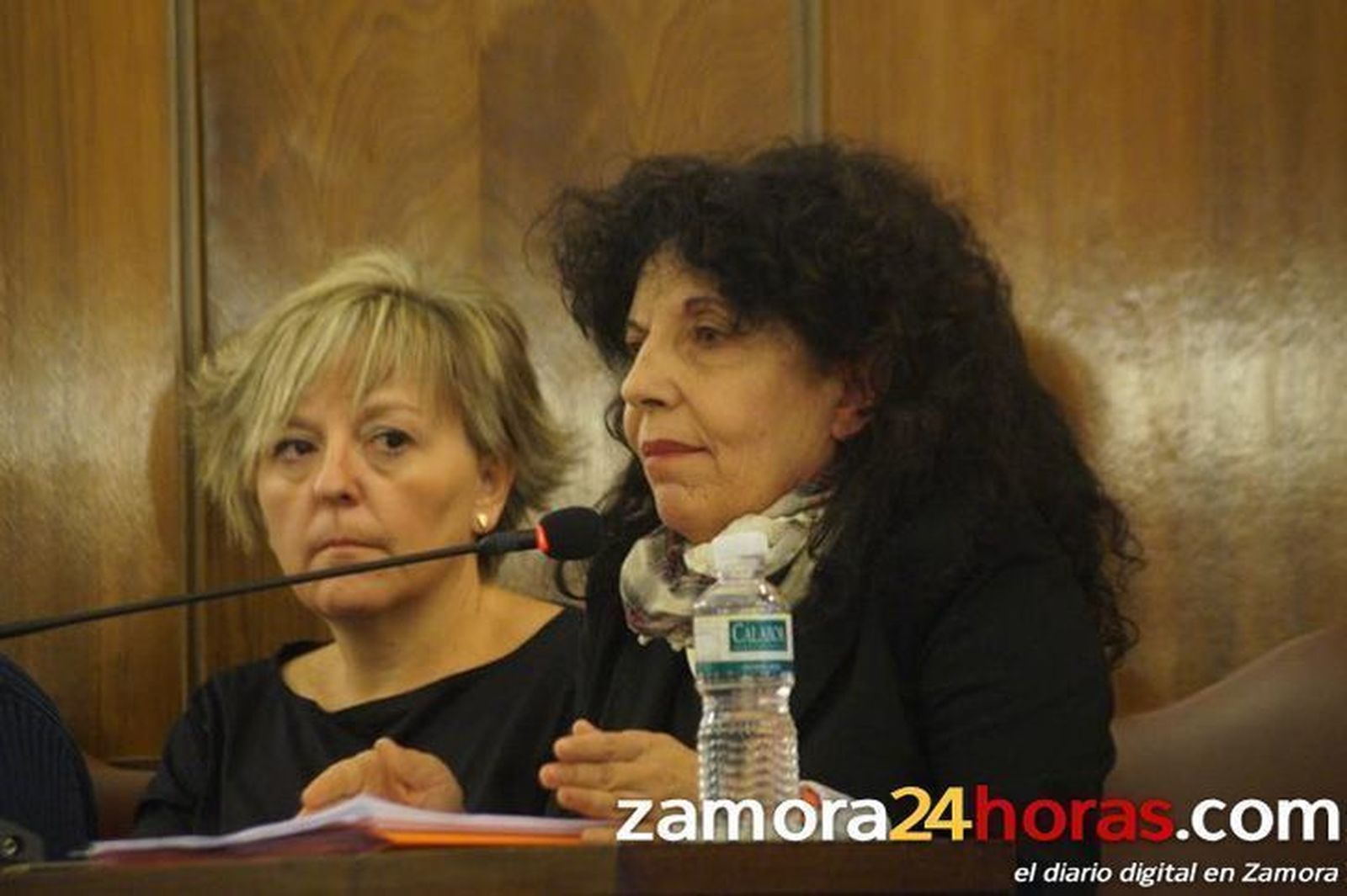 IU apuesta por la autovía o vía rápida entre España y Portugal, a través de Puebla